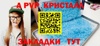 тгк Кингисепп