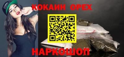тгк Кингисепп