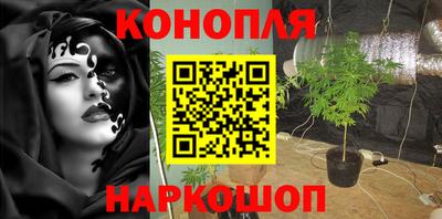 амф Кимры