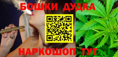 тгк Кингисепп