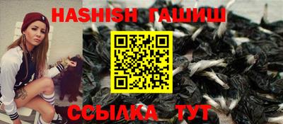 тгк Кингисепп
