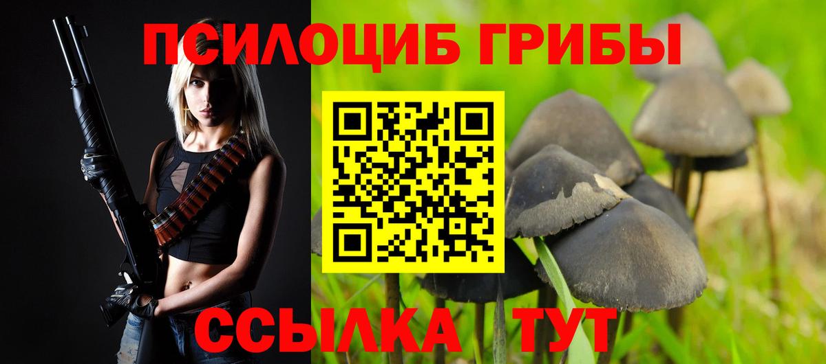 Псилоцибиновые грибы MAGIC MUSHROOMS Кропоткин