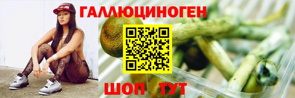 Галлюциногенные грибы мицелий  Вход с VPN  продажа наркотиков  Кропоткин 